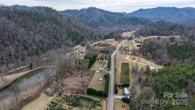 bird's eye view with a rural view and a water and mountain view