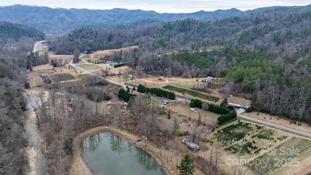 bird's eye view with a rural view and a water and mountain view