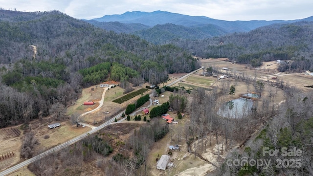 aerial view with a mountain view