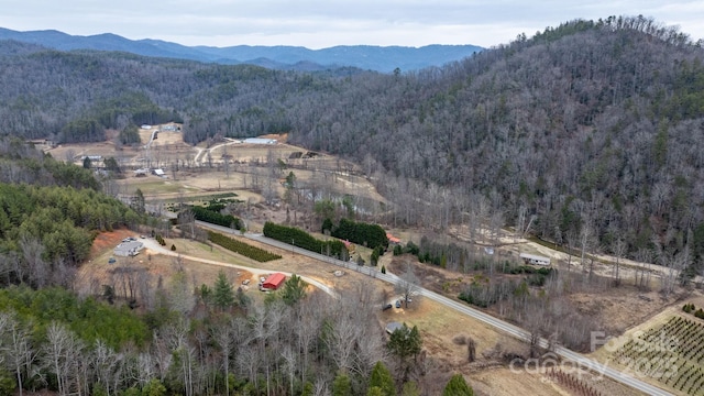 view of mountain feature with a rural view