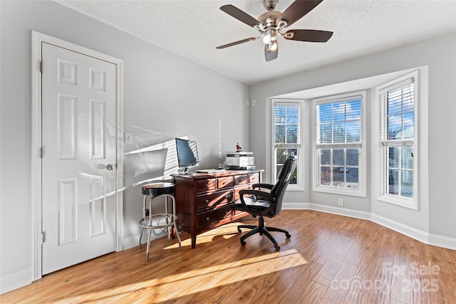 office area featuring ceiling fan, a wealth of natural light, a textured ceiling, and light wood-type flooring