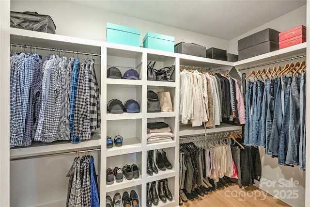 walk in closet with wood finished floors