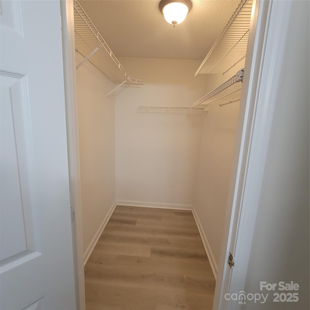 spacious closet with hardwood / wood-style floors