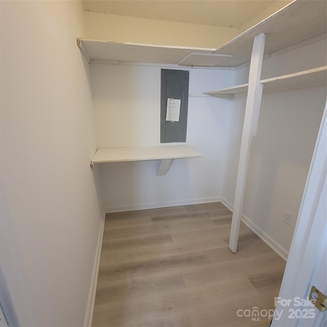 walk in closet featuring electric panel and light hardwood / wood-style floors