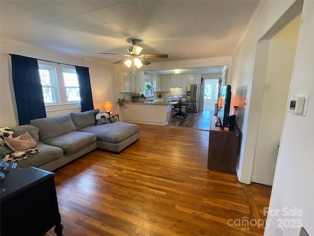 living area with ornamental molding, a healthy amount of sunlight, dark wood finished floors, and ceiling fan