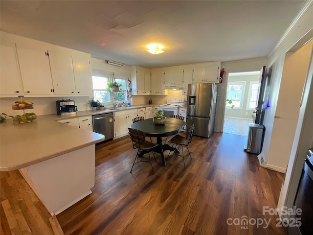 kitchen featuring light countertops, appliances with stainless steel finishes, dark wood-style flooring, and white cabinetry