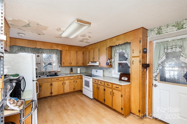 kitchen featuring white appliances, sink, a textured ceiling, and light wood-type flooring