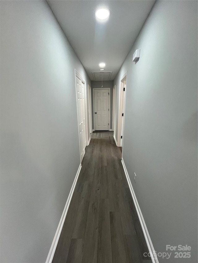 hallway with dark hardwood / wood-style flooring