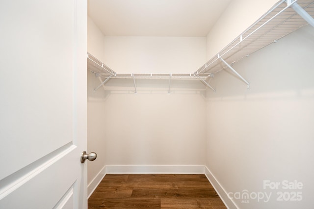 spacious closet featuring dark hardwood / wood-style flooring