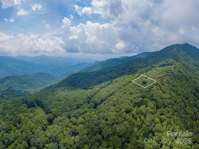 00 Spruce Patch Ln, Sylva NC, 28779 land for sale