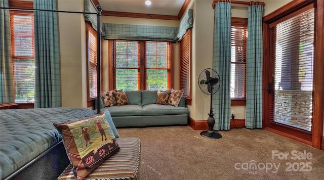 view of carpeted bedroom