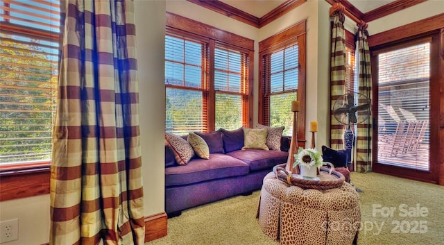 living area with carpet and crown molding