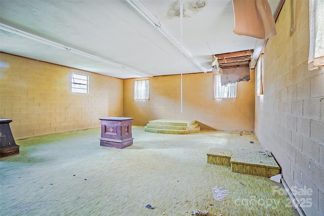 basement with a wood stove