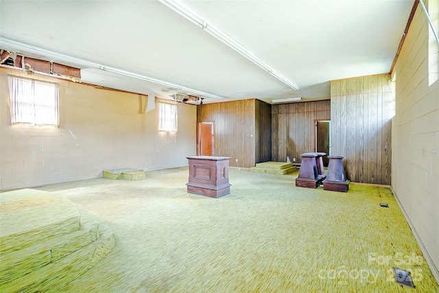 basement featuring wood walls and a wood stove