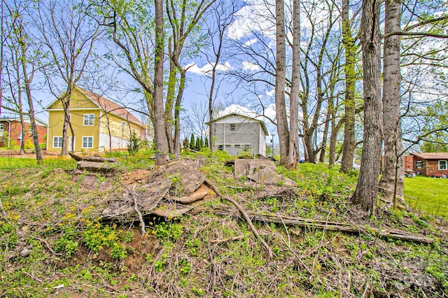 view of yard with a garage