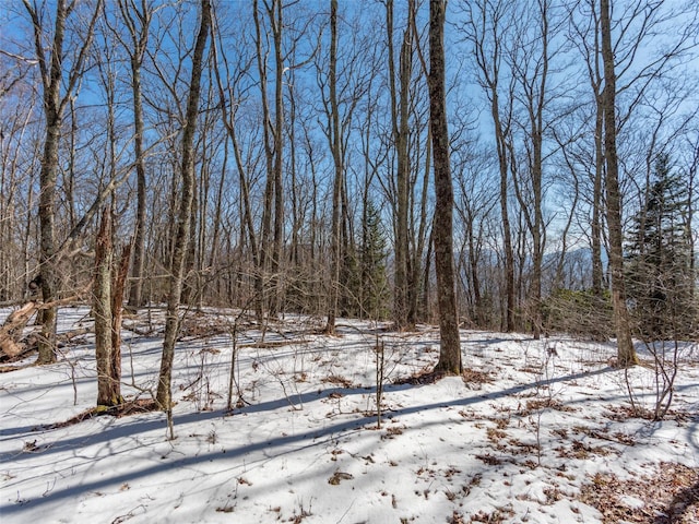 99999 Spruce Patch Ln, Sylva NC, 28779 land for sale