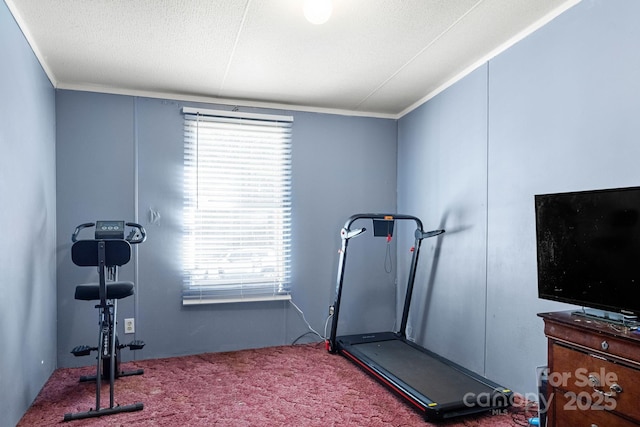 exercise room with ornamental molding, carpet, and a textured ceiling