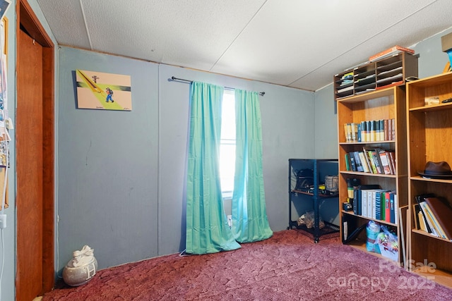 interior space featuring carpet flooring and a textured ceiling