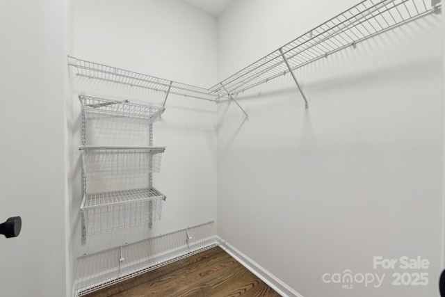 spacious closet with dark hardwood / wood-style floors