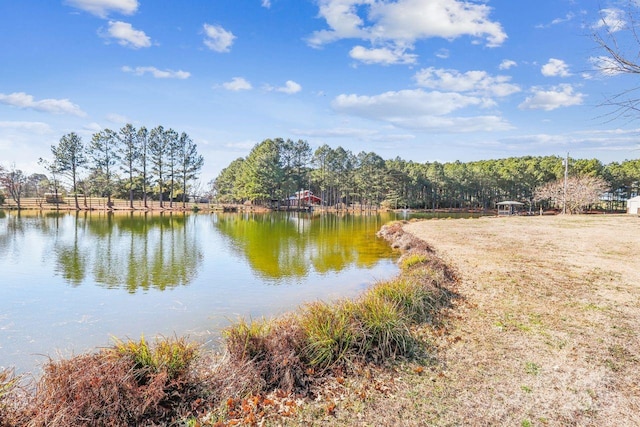 property view of water