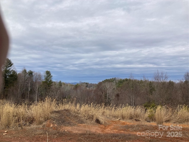 Listing photo 2 for 1638 Continental Divide Rd Unit 1, Flat Rock NC 28731