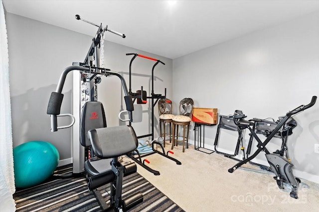 workout room featuring carpet floors