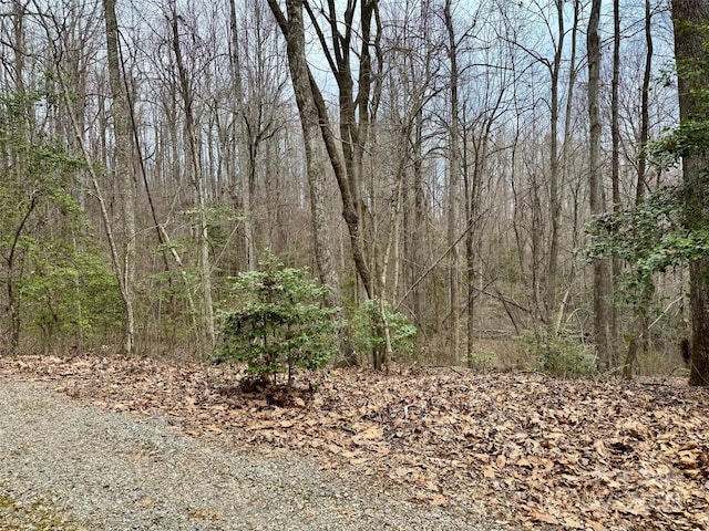 000 Orchard Mountain Rd, Saluda NC, 28773 land for sale