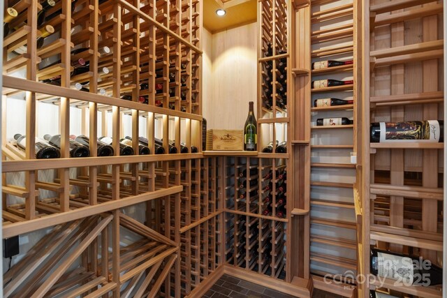 view of wine cellar