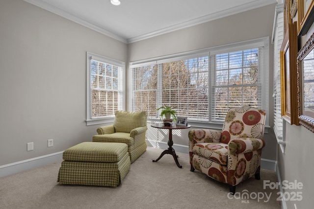 living area featuring crown molding, carpet floors, and a wealth of natural light