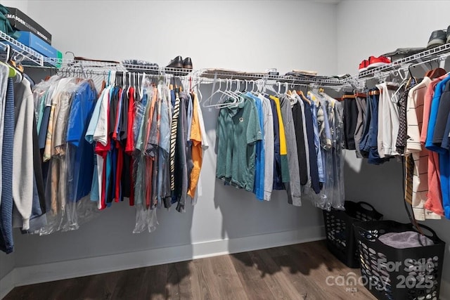 spacious closet featuring hardwood / wood-style floors