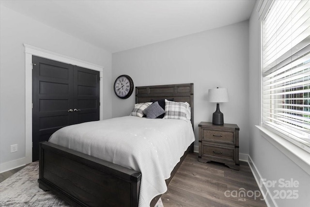 bedroom with multiple windows and dark hardwood / wood-style flooring