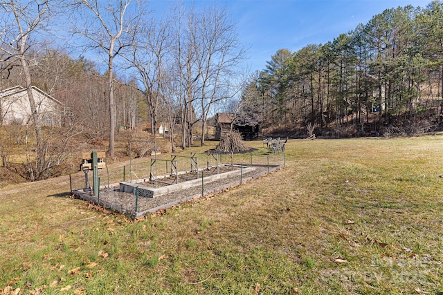 view of yard with a garden