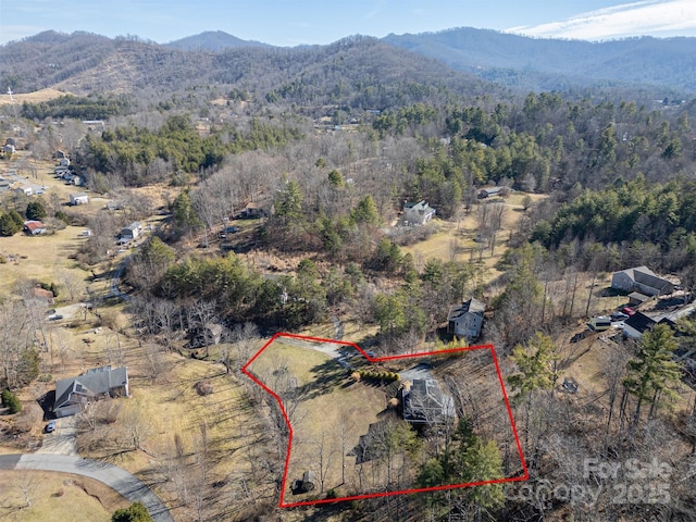 birds eye view of property with a mountain view and a view of trees