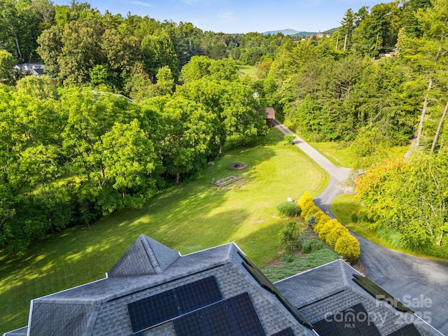 109 Southwoods Dr, Weaverville, NC 28787 - photo 5