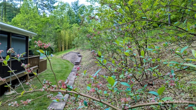 109 Southwoods Dr, Weaverville, NC 28787 - photo 34