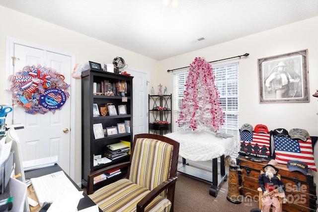 bedroom featuring dark carpet