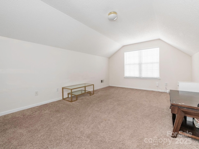 additional living space featuring lofted ceiling, carpet floors, and a textured ceiling