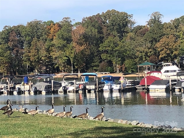 view of dock featuring a water view