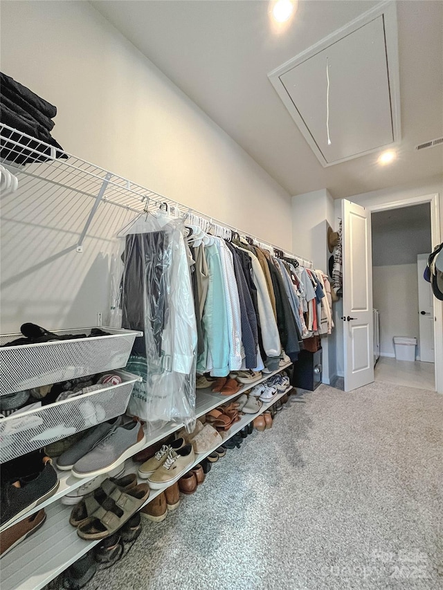 spacious closet featuring carpet flooring