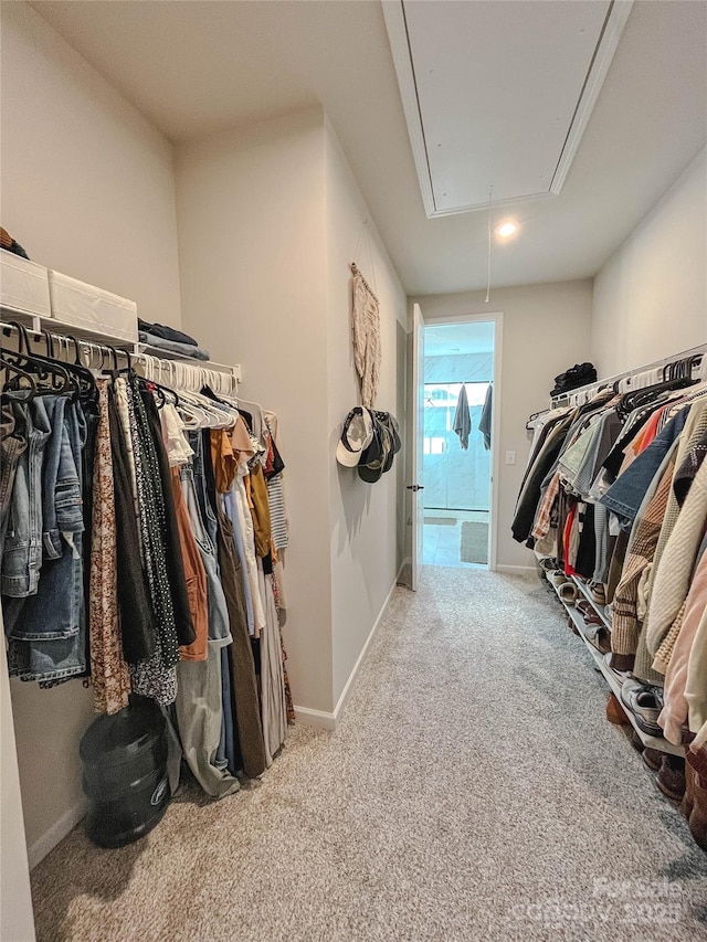 spacious closet with carpet floors