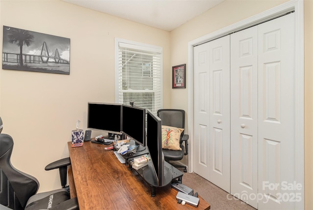 view of carpeted home office