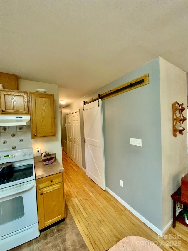 kitchen featuring a barn door, light hardwood / wood-style floors, and electric stove