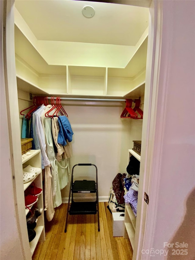 spacious closet with hardwood / wood-style flooring