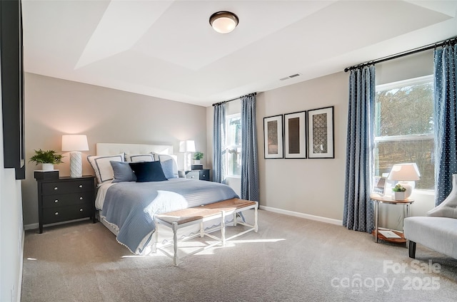 carpeted bedroom featuring a tray ceiling