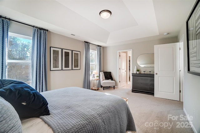 carpeted bedroom with a raised ceiling