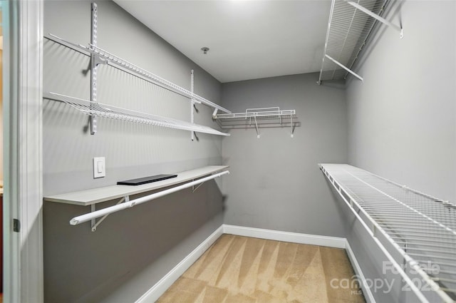 128 Steinbeck Way Unit E, Mooresville, NC 28117 - walk in closet featuring light colored carpet
