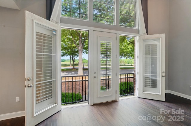 128 Steinbeck Way Unit E, Mooresville, NC 28117 - doorway featuring baseboards, a wealth of natural light, and wood finished floors