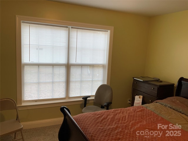 7 Chapel Park Pl, Asheville, NC 28803 - view of carpeted bedroom