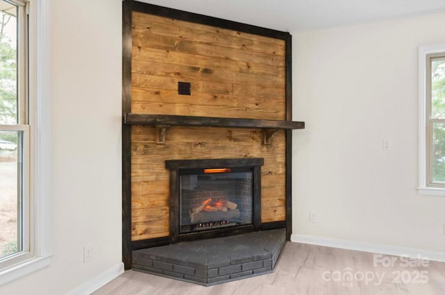 room details with hardwood / wood-style flooring and a fireplace