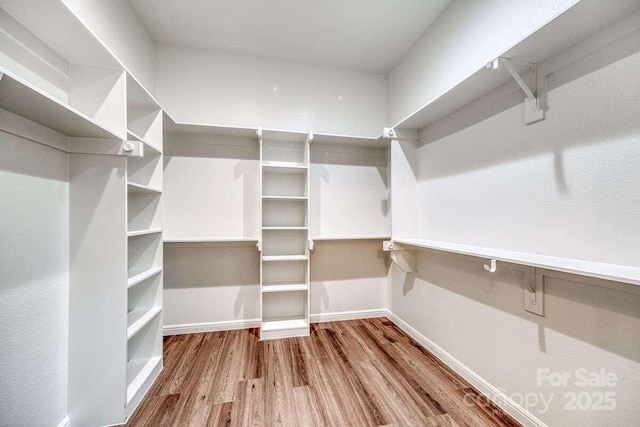 spacious closet featuring wood finished floors